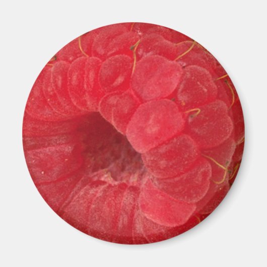 ラズベリー マグネット (正面)