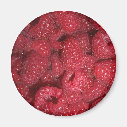 ラズベリー マグネット (正面)