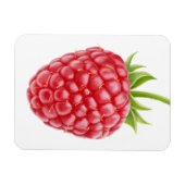 ラズベリー マグネット (横)
