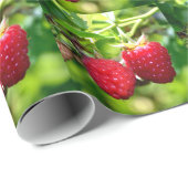 ラズベリー ラッピングペーパー (ロールコーナー)