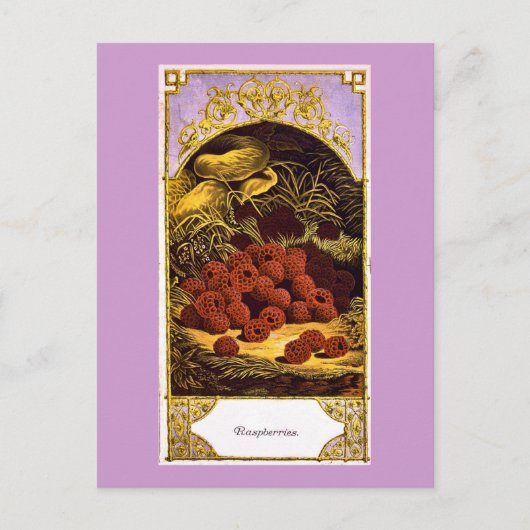 ラズベリー – Vintage Ad 1874 ポストカード (正面)