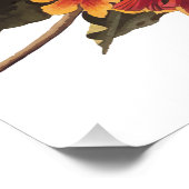 ラズボーンのウグイスの鳴き鳥のクロスバイン ポスター (コーナー)