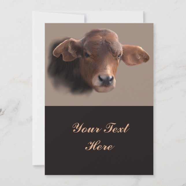 ラセットブラウンカウズポートレート (正面)