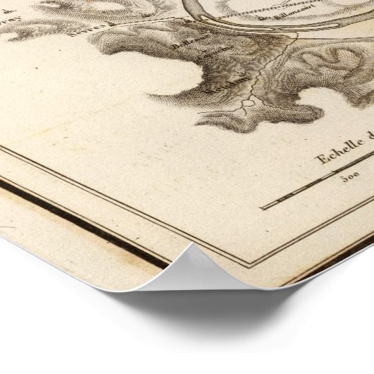 ラセーヌ ポスター (角)