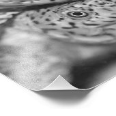 ラゾバックムスクTurtle写真プリント フォトプリント (角)