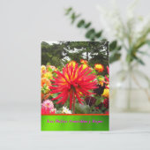 ラタルジェタポレッジ – Las Dalias Amarillas y Rojas ポストカード (スタンド正面)