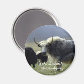 ラダック、ヒマラヤ、ヤク（磁石） マグネット (正面/裏面)