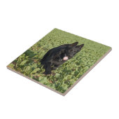 ラッカー黒いジャーマン・シェパード タイル (側面)