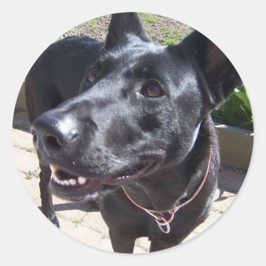 ラッカー黒人羊飼い ラウンドシール (正面)