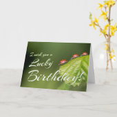 ラッキーな誕生日と小さなラディバグ!カード カード (黄色い花)
