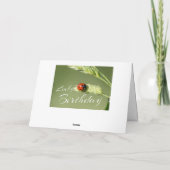 ラッキーな誕生日と小さなラディバグ!カード カード (裏面)