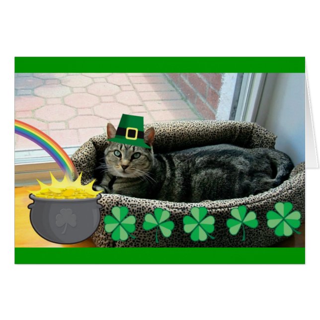 ラッキーアイリッシュインディゴ (正面横)