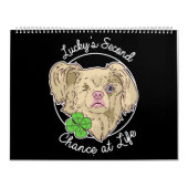 ラッキーカレンダー2020 カレンダー (カバー)