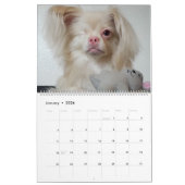 ラッキーカレンダー2020 カレンダー (1月 2026)