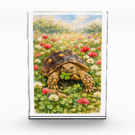 ラッキークローバーとスルカタリクガメの水彩画 フォトブロック