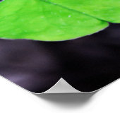 ラッキークローバー ポスター (角)