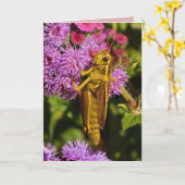 ラッキーグラスッパー誕生日 カード (黄色い花)