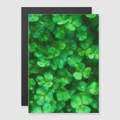 ラッキーケルト、アイリッシュグリーンシャームロック (正面/裏面)