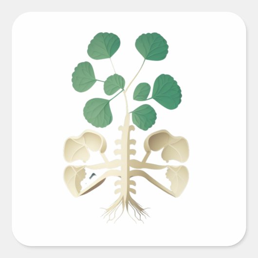 ラッキーシャムロックサンパトリックの日 スクエアシール (正面)