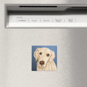 ラッキーシート マグネット (インサイチュ (食洗機))