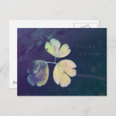 ラッキーチャームはがき ポストカード (正面/裏面)