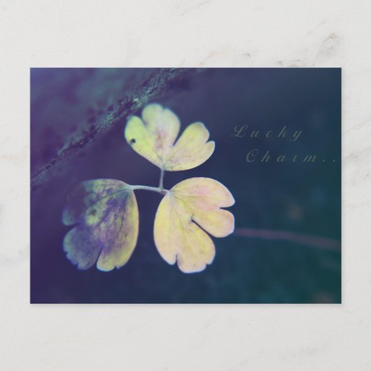 ラッキーチャームはがき ポストカード (正面)
