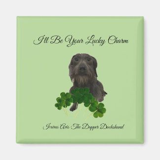 ラッキーチャーム磁石 マグネット