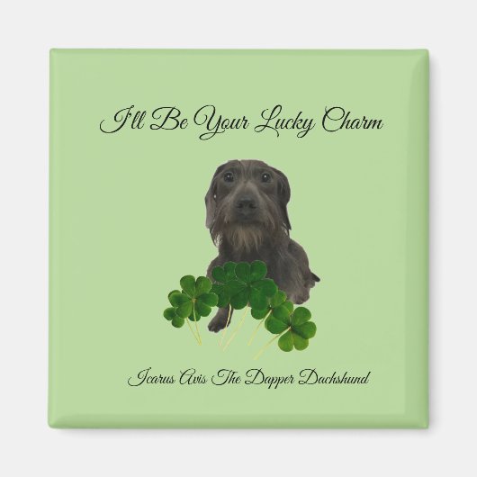 ラッキーチャーム磁石 マグネット (正面)