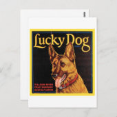 ラッキードッグヴィンテージクレート表示 ポストカード (正面/裏面)