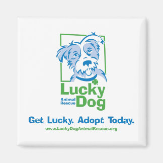 ラッキードッグ「Adopt Today」マグネット マグネット