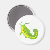 ラッキーナマズ マグネット (正面/裏面)