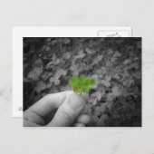 ラッキーバージョン6 ポストカード (正面/裏面)