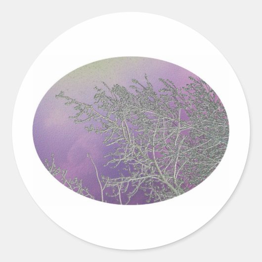 ラッキーパープルnシルバーストリークV5 ラウンドシール (正面)