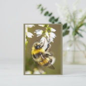 ラッキービー ポストカード (スタンド正面)