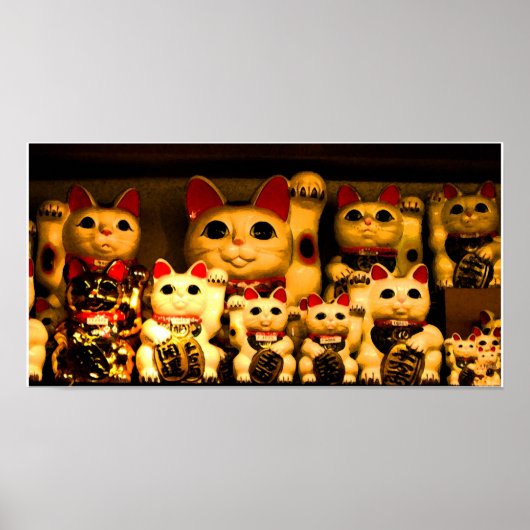 ラッキーベコニング子猫 ポスター (正面)