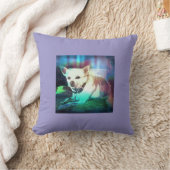 ラッキーミア装飾用クッション クッション (ブランケット)