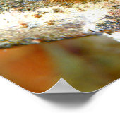 ラッキーモスキャタピラーポスター ポスター (角)