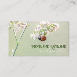 ラッキーラディバグの幸運なお客様!名刺 名刺