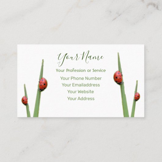 ラッキーラディバグを持つラッキークライアント! 名刺 (裏面)