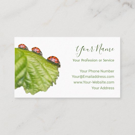 ラッキーラディバグを持つ幸運なお客様！ 名刺 (裏面)