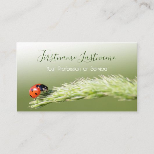 ラッキーラディバグを持つ幸運なお客様！ 名刺 (正面)