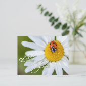 ラッキーレディバグで幸運を祈る ポストカード (スタンド正面)