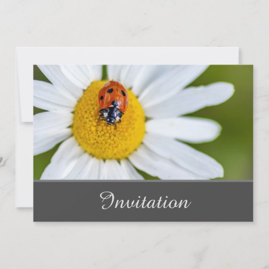 ラッキーレディバグの魅惑的な招待カード 招待状 (正面)