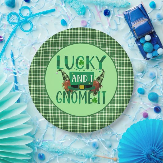 ラッキー&アイ格言イットSt patricks dayパーティー ペーパープレート (パーティー)