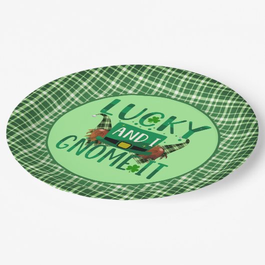 ラッキー&アイ格言イットSt patricks dayパーティー ペーパープレート (アングル)