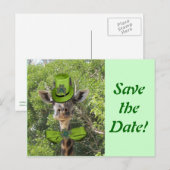 ラッキー・キリン 案内ポストカード (正面/裏面)