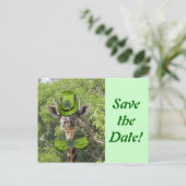 ラッキー・キリン 案内ポストカード (スタンド正面)