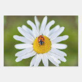 ラッキー・デビルこのラディバグ！ ラッピングペーパーシート (正面)