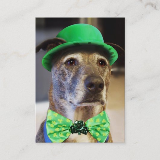 ラッキー・ドッグ 名刺 (正面)