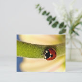 ラッキー ポストカード (スタンド正面)